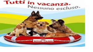 Animali domestici, oltre la metà dei salentini li porterebbe in vacanza con sé