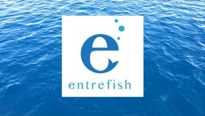 &quot;Entrefish&quot;, il progetto che promuove la “Blue Economy”. Ecco chi può partecipare