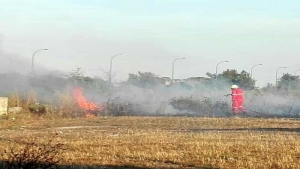 L&#039;area protetta &#039;Quatina&#039; a fuoco: tre ore di lavoro per domare l&#039;incendio