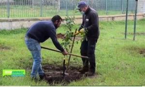 Giornata Nazionale degli Alberi 2021 a Squinzano. Il video a cura di Paolo Andriani