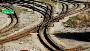 Resti di una carcassa ritrovati sulla grata di un treno: una perizia per capirne la natura