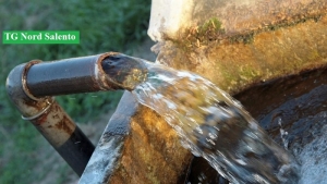 Progetto Minore: la scuola insegna a rispettare l&#039;acqua della falda salentina