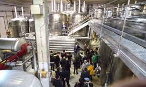 Calici di vino e musiche d&#039;Autore. A Tenute Rubino torna Cantine Aperte