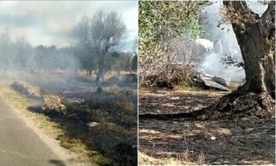 Bruciano le sterpaglie: rischio incendio in un&#039;abitazione, diversi animali salvati dai passanti