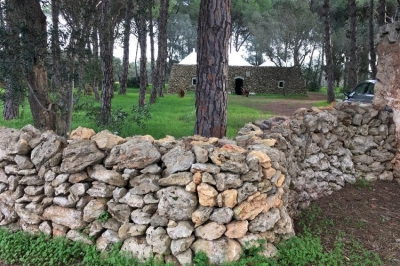 I muretti a secco che recingono il trullo di Petrelli, nel parco di S.Elia