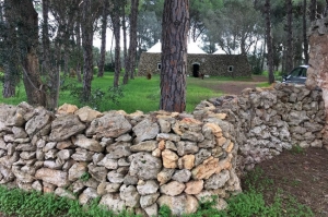 I muretti a secco che recingono il trullo di Petrelli, nel parco di S.Elia