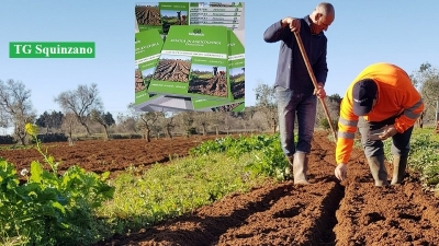 Il nuovo progetto di Malachianta: nasce la Scuola di Agricoltura Naturale Elementare