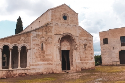 &quot;Giornate FAI all&#039;aperto&quot;: l&#039;oliveto sperimentale dell&#039;Abbazia di Cerrate apre al pubblico